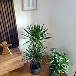 Apartment Novy Eva