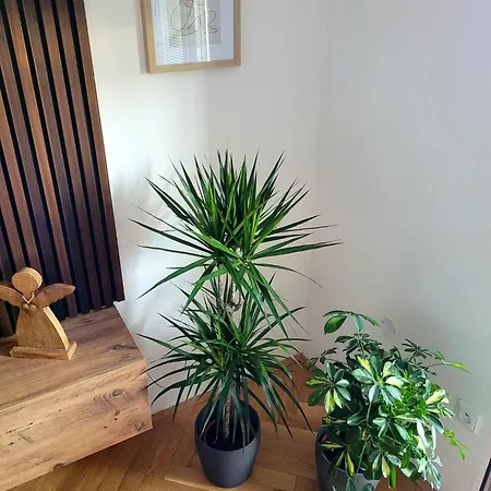 Apartment Novy Eva