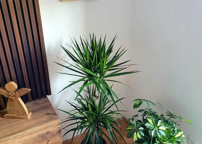 Apartament Novy Eva